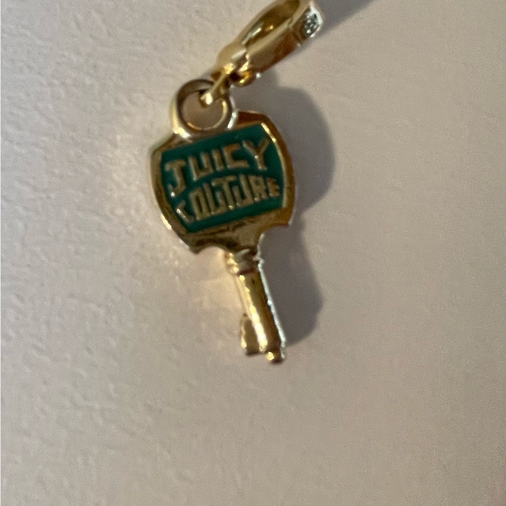 3 Juicy Couture Charms.
